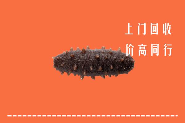 黔南高价回收海参